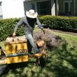 Photo #7: STUMP GRINDING & TREE SERVICE