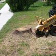 Photo #12: STUMP GRINDING & TREE SERVICE