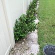 Photo #6: ForeverGreen Total Lawn Service Landscaping recovery