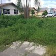 Photo #10: ForeverGreen Total Lawn Service Landscaping recovery