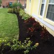 Photo #14: ForeverGreen Total Lawn Service Landscaping recovery