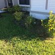 Photo #19: ForeverGreen Total Lawn Service Landscaping recovery