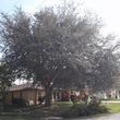 Photo #7: ACME Tree Service L.L.C. 
