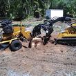Photo #1: STUMP GRINDING RESIDENTIAL AND COMMERCIAL-stump grinder service