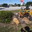 Photo #2: STUMP GRINDING RESIDENTIAL AND COMMERCIAL-stump grinder service