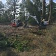Photo #3: BOBCAT SERV / LOT CLEARING / PROPERTY CLEAN UP