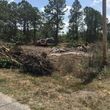 Photo #4: BOBCAT SERV / LOT CLEARING / PROPERTY CLEAN UP