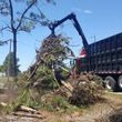 Photo #6: BOBCAT SERV / LOT CLEARING / PROPERTY CLEAN UP