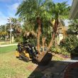 Photo #8: Cancun Lawn And Tree Service