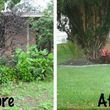 Photo #4: Quality Cleanup Anykind Garden Landscape Trim Bush Tree Mow Debris All