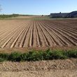 Photo #10: Tractor Work - Mowing Tilling Seeding Discing Ditching Corrugating +