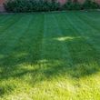 Photo #4: LAWN CARE STARTING AT $20!!!