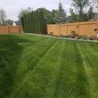 Photo #5: LAWN CARE STARTING AT $20!!!