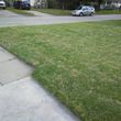 Photo #3: (LAWN MOWING SERVICE) $25 Lawn/Grass cutting