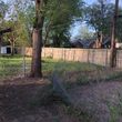 Photo #5: Mow Edge and Trim. Landscaping. Removal & Odd end jobs