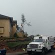 Photo #15: Tree Contractors NW Inc. Stump grinding & chipping service!
