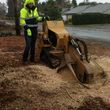 Photo #24: Tree Contractors NW Inc. Stump grinding & chipping service!