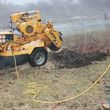 Photo #1: Stump Grinding/Tree and Brush Removal