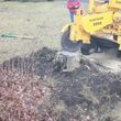 Photo #3: Stump Grinding/Tree and Brush Removal