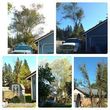 Photo #4: TREE WORK - TREE REMOVAL - STUMP GRINDING - FREE ESTIMATES