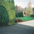 Photo #15: HARDSCAPES/LANDSCAPING: EXCEPTIONAL WORK, GREAT PRICES!!