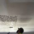 Photo #23: Drywall, Taping and Texture. Smooth Wall EXPERTS!