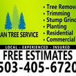 Photo #1: DURAN TREE SERVICE LLC