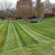 Photo #2: Landscape &Lawncare