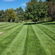 Photo #3: Landscape &Lawncare