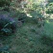 Photo #1: Just Perfect Lawns LLC - Cleanups, mulch, river rock  -pics attached
