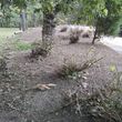Photo #18: Just Perfect Lawns LLC - Cleanups, mulch, river rock  -pics attached
