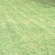 Photo #3: Lawncare Special only $40