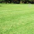 Photo #6: Lawncare Special only $40