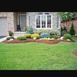 Photo #1: **50% Off Lawn Maintenance and Weeds Spraying Service Sale**