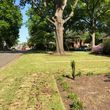 Photo #1: Lawn service and landscaping