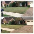 Photo #4: Lawn service and landscaping