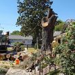 Photo #13: Mickey's tree service and Landscape