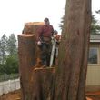 Photo #10: Tree REMOVALS/Remove/Services/Pruning/Stump Grinding