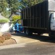 Photo #15: Tree REMOVALS/Remove/Services/Pruning/Stump Grinding