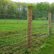 Photo #4: Fencing-Cedar, Chain Link, Field 1