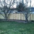 Photo #6: Tree Service, Clean up, and Carpentry