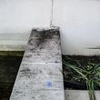 Photo #7: Home Pressure Washing up to 1800sq ft 149$ Concrete 500sq ft 89$