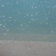 Photo #17: Crystal Blue CCS Services Pools and Spas