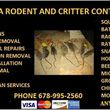 Photo #1: Rodent Snake Rat Bat Hornet Bee any animal all Pest Control them now.