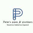 Photo #1: Licensed plumber 10 yrs experience (nosotros hablamos espanol)