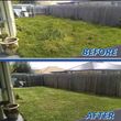 Photo #2: Yard clean-ups & landscaping special deals this Month $$$$