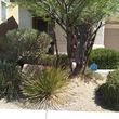 Photo #7: Yard clean-ups & landscaping special deals this Month $$$$