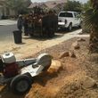 Photo #8: TREE TRIMMING AND STUMP REMOVAL