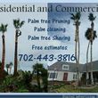 Photo #2: Clean ups service, lawn maintenance, palm tree service, yard cleaning