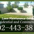 Photo #12: Clean ups service, lawn maintenance, palm tree service, yard cleaning